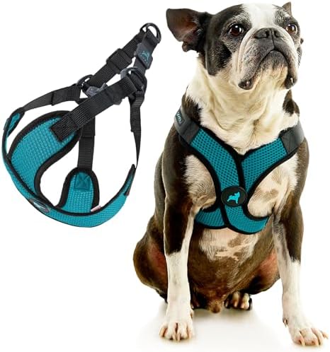 Gooby Comfort X Step-in Lite Harness, Choke-Free, Turquoise, Small - Image 3