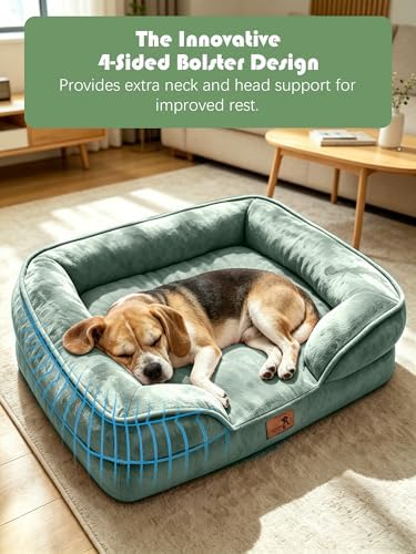 Spotted Play Orthopedic Dog Bed with Sides - Sofa Beds for Medium Dogs, Supportive Foam Pet Couch Bed with Washable Removable Cover, Waterproof Lining and Non-Slip Bottom, Green - M - Image 5
