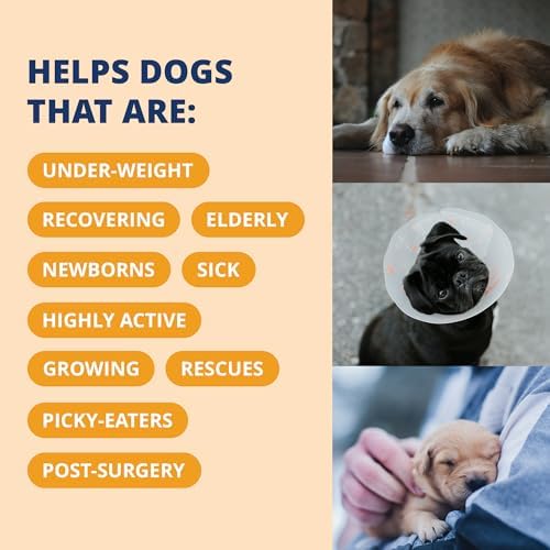 Under the Weather Pet Electrolytes Ready Cal Plus Gel for Dogs | Vet-Formulated High-Calorie Supplement for Dog & Puppy | Provides Essential Calories & Promotes Weight Gain | 3.5 Oz Tube Pack - Image 4
