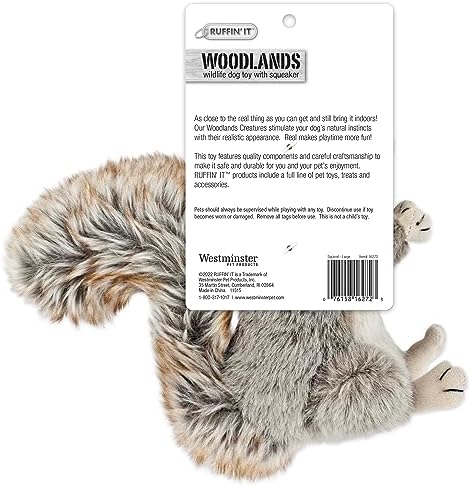 RUFFIN' IT Woodlands, Plush Squirrel, 8 in Squeaky Soft Stuffed, Dog Toy - Image 2