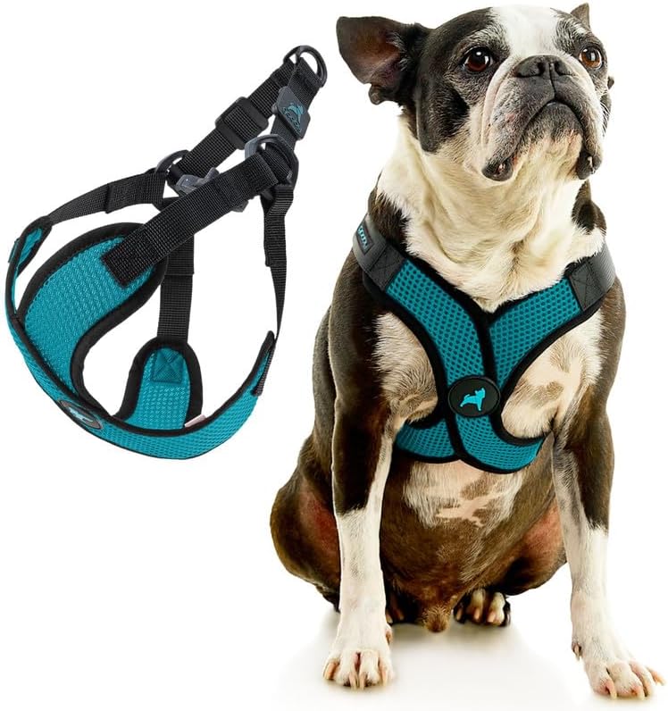 Gooby Comfort X Step-in Lite Harness, Choke-Free, Turquoise, Large - Image 3