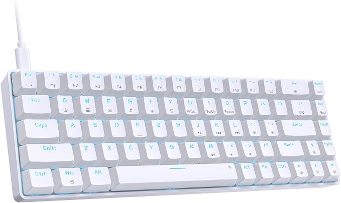DIERYA T68SE 60% Gaming Mechanical Keyboard,Ultra Compact Mini 68 Key with Red Switches Wired Keyboard,Anti-Ghosting Keys, for Windows Laptops and PC Gamers,White by DIERYA