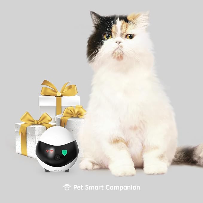 Enabot EBO SE Home Robot Camera: 1080P Mobile FamilyBot Pet Companion | Whole-Home Mobility, Two-Way Talk, Night Vision, Local Storage, Auto-Recharge, Long Distance Gift for Family/Pet - Image 8