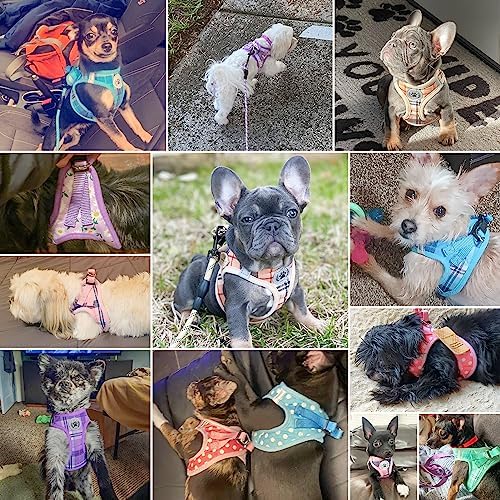 BEAUTYZOO Dog Harness Medium Sized and Leash Set,No Pull Pet Vest -Floral,M - Image 3