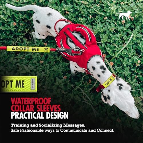 Waterproof Dog Collar Sleeve, Adopt Me Message Wrap, Standard, 2-Pack - Image 6