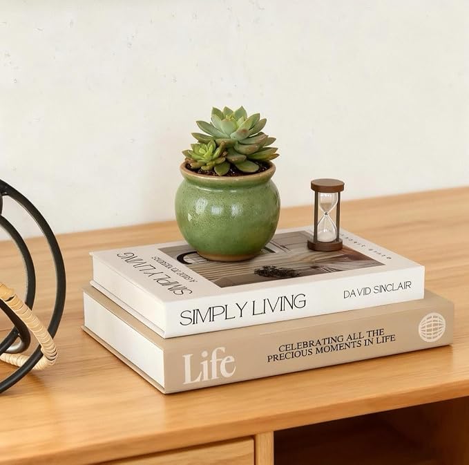 Decorative Books for Home Decor,2 Pcs Modern Minimalist Faux Book for Home Decoration,Coffee Table Decor,Living Room Aesthetic Accent (E1) - Image 6