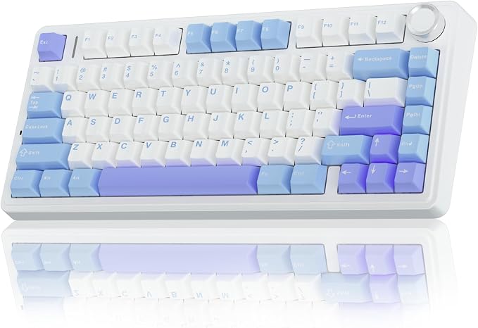 AULA F75 75% Wireless Mechanical Keyboard, Hot Swappable Creamy Keyboard, Pre-lubed Star Vector Switches RGB Backlit Gaming Keyboards, 2.4GHz/Type-C/BT5.0(White&Blue&Purple) by AULA