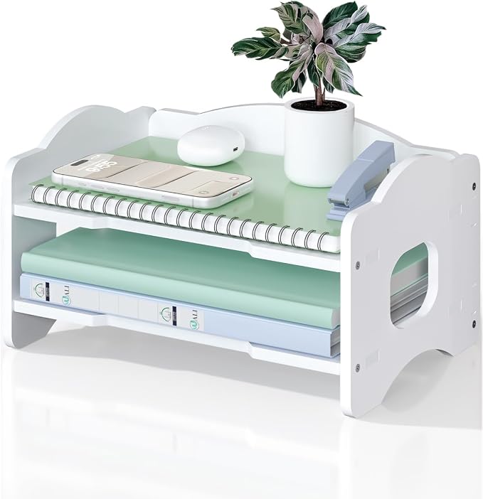 WALI Desk File Organizer, 2 Tier Stackable Desktop Paper Letter Tray Organizer with Handle, Office Desk Accessories & Workspace Organizers for Office, Home, School Supplies, 1 Pack, White by WALI
