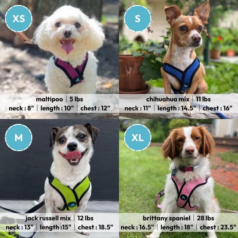 Gooby Comfort X Step-in Lite Harness, Choke-Free, Turquoise, Medium - Image 5
