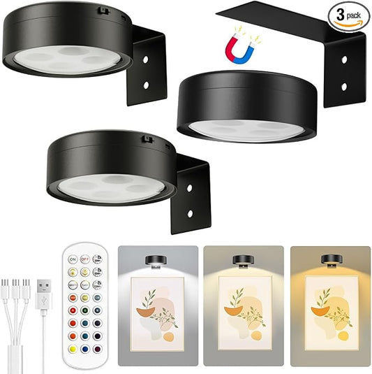 Xuolder Picture Lights for Wall,2000mAh Rechargeable Battery Poster Lights LED Magnetic Painting Light with Remote Control,3 Color Temps&12 RGB Timer Dimmable Wall Light for Art Display Wall Decor by Xuolder