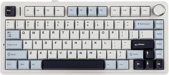 EPOMAKER x Aula F75 Gasket Mechanical Keyboard, 75% Wireless Hot Swappable Gaming Keyboard with Five-Layer Padding&Knob, BT/2.4GHz/USB-C, RGB (Light Blue, Ice Vein Switch) by EPOMAKER
