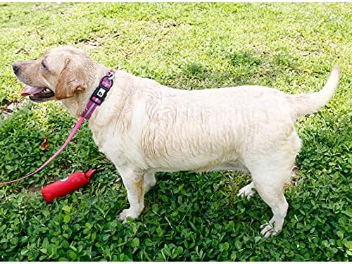 Nimble Reflective Waterproof Dog Collar Adjustable Odor Resistant Easy Clean Pet Collar for Small Medium Large Dogs Night Walking Outdoor Rainy Use (Large (15.35”-24.8”inches), Rose Purple) - Image 5