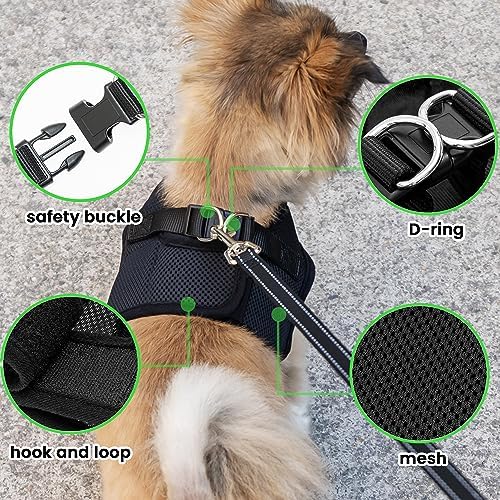 Dog Harness with AirTag Holder & 5 ft Leash Set for Small Dogs - Image 5