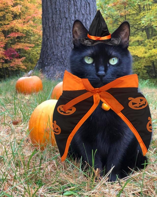 Halloween Cat Costume Cloak Witch Hat Pet Accessories Halloween Adjustable Pumpkin Pet Costumes Clothes Set, Halloween pet Costume Decor Cloak for Cats Dogs Puppy Halloween Carnival Party Supplies - Image 6