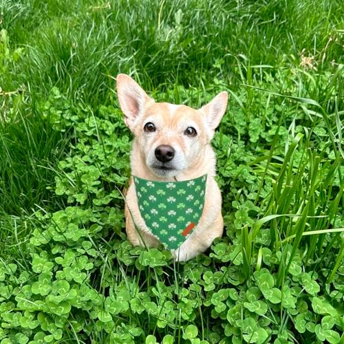 PTDECOR St.Patrick's Day Dog Bandana, Green Irish Shamrock Dog Scarf, Large - Image 2