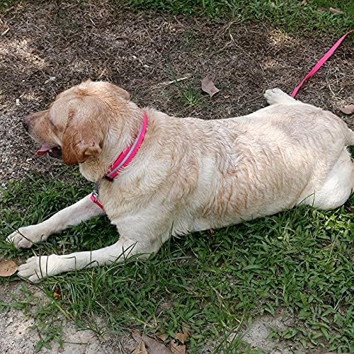 Nimble Reflective Waterproof Dog Collar Adjustable Odor Resistant Easy Clean Pet Collar for Small Medium Large Dogs Night Walking Outdoor Rainy Use (Small (9.45”-14.17”inches), Pink) - Image 5
