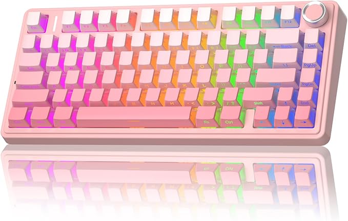 AULA F75 Pro Wireless Mechanical Keyboard Silent Version,75% Hot Swappable Custom Keyboard with Knob,RGB Backlit,Pre-lubed Switches,Side Printed PBT Keycaps,2.4GHz/USB-C/BT5.0 PC Gaming Keyboards,Pink by AULA