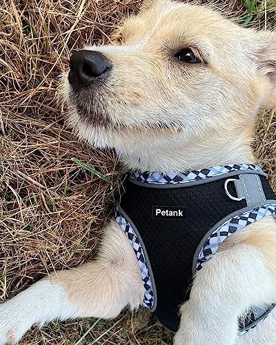 Petank Step in Dog Harness No Pull and Leash for Small Medium Dogs Cats. - Image 2