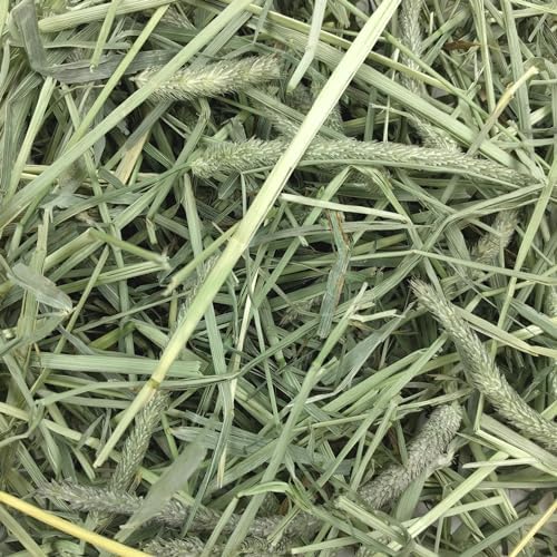 Oxbow Timothy Hay, Rabbit & Guinea Pig Hay, High Fiber for Digestive Health, Grown in the USA, Veterinarian Recommended Small Pet Supplies, for Rabbits, Guinea Pigs, & Chinchillas, 15 oz. (Pack of 2) - Image 6