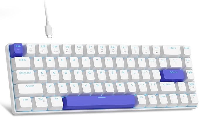 MageGee Portable 60% Mechanical Gaming Keyboard, RGB Backlit Compact 68 Keys Wired Mini Keyboard for Laptop PC Mac, Hot Swappable, Blue Whale Switch - White by MageGee