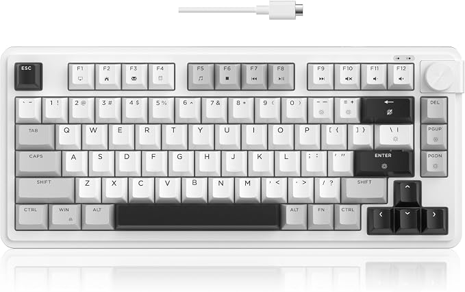 MageGee 80% Gaming Keyboard, RGB Backlit Wired Mechanical Feel Keyboard with Volume Knob, 80 Keys Compact USB Keyboard, 19-Key Rollover, Multimedia Keys for PC, Computer, Laptop, Windows by MageGee