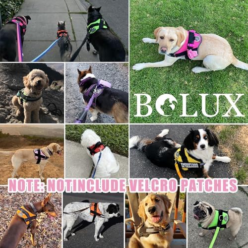 Bolux Dog Harness, No-Pull Reflective Dog Vest, Breathable Adjustable Pet Harness with Handle for Outdoor Walking - No More Pulling, Tugging or Choking (Medium (Pack of 1), OilPainting) - Image 6