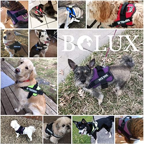 Bolux Dog Harness, No-Pull Reflective Dog Vest, Breathable Adjustable Pet Harness with Handle for Outdoor Walking - No More Pulling, Tugging or Choking ( Army Yellow, M ) - Image 5