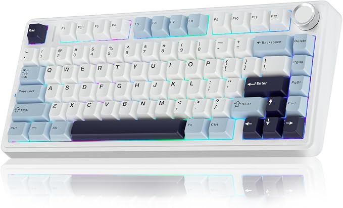 AULA F75 75% Wireless Mechanical Keyboard, Hot Swappable Creamy Keyboard, Pre-lubed Reaper Switches, 2.4GHz/Type-C/BT5.0, RGB Backlit Gaming Keyboards(White & Blue) by AULA