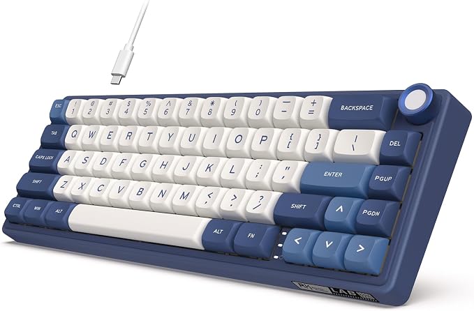 RK ROYAL KLUDGE R65 Wired Gaming Keyboard with Volume Knob, 60% Percent RGB Backlit Mechanical Keyboard Gasket Mount with PBT Keycaps, MDA Profile, QMK/VIA, 66 Keys Hot Swappable Cream Switch, Blue by RKROYALKLUDGE