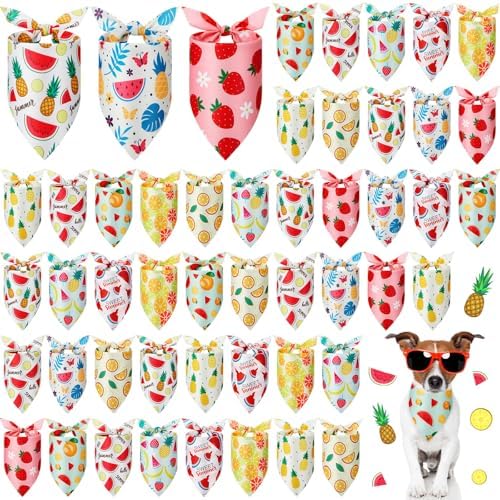 Weewooday 50 Pcs Fruit Dog Bandanas Bulk for Summer Soft Bibs Adjustable Triangle Pet Bandana for Small Medium Large Costume(Fruits Pattern, 25.6 x 17.7 x 17.7 Inch) by Weewooday