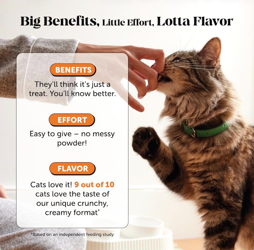 Pet Honesty Vet Backed Senior Cat Joint Supplement, Chicken, 900ct Chews - Image 4