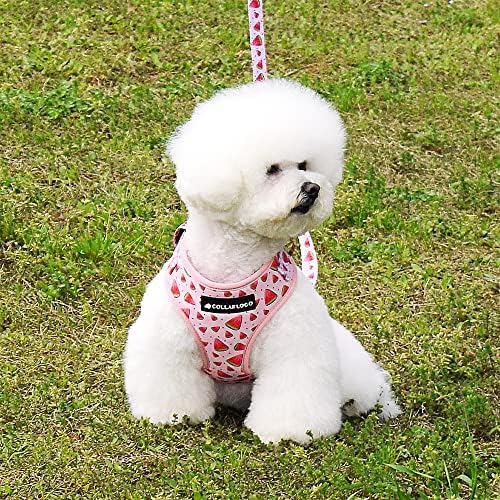 Dog Harness and Leash Set, Adjustable Dog Harness, Dog Leash, No Pull No Choke Puppy Harnesses for Walking Training for Small Medium Pet - Image 2