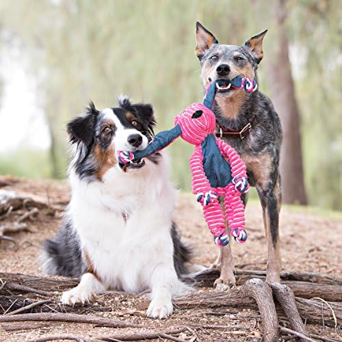 Kong Floppy Knots Rope and Plush Dog Toy, Elephant, Small/Medium - Image 2
