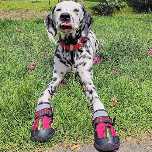 QUMY Dog Shoes for Hot Pavement, Dog Snow Boots & Paw Protectors for Winter - Image 6