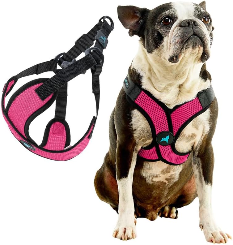 Gooby Comfort X Step-in Lite Harness, Choke-Free, Flamingo Pink, X-Large - Image 3