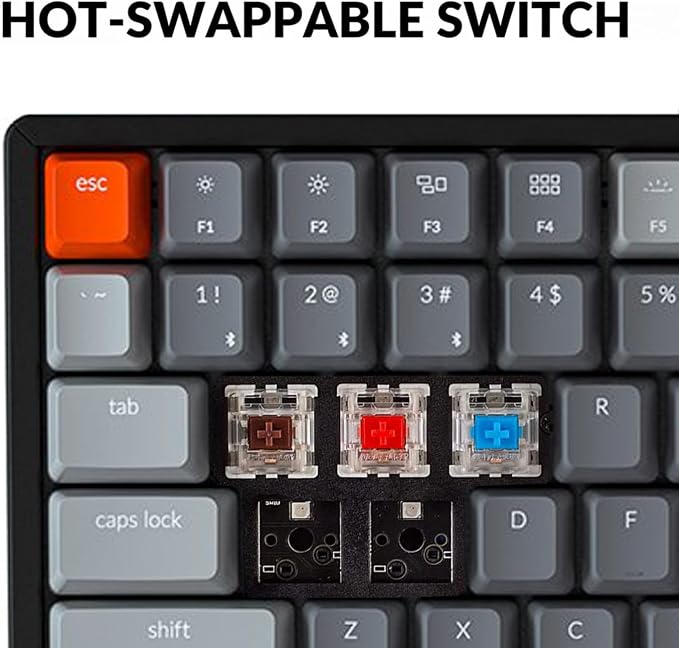 Keychron K4 Bluetooth Wireless Mechanical Keyboard RGB LED Backlit, Hot-swappable Compact 100 Keys USB Wired Computer Gaming Keyboard Aluminum Frame for Mac Windows, Gateron Red Switch - Image 5
