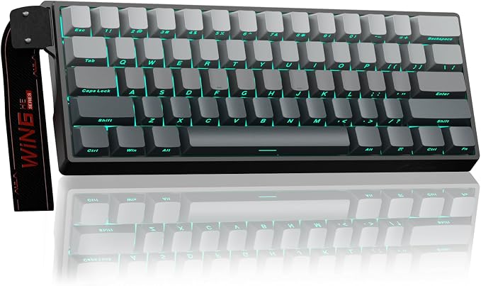 Aula WIN60 HE - 60% Mechanical Gaming Keyboard Wired, Hall Effect Magnetic Switch Hot Swappable,8000 Hz Polling Rate, RGB Keyboard 60 Percent Compact Design for PC (Gradient Gray) by CORBOBO
