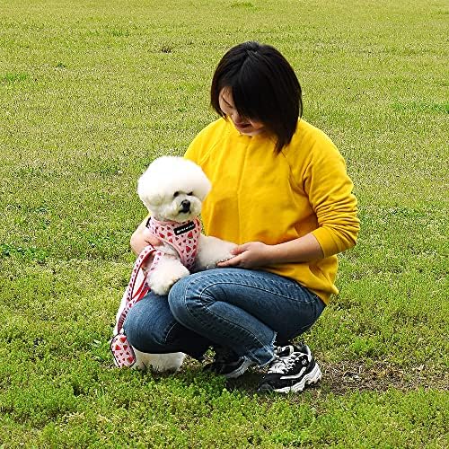 Dog Harness and Leash Set, Adjustable Dog Harness, Dog Leash, No Pull No Choke Puppy Harnesses for Walking Training for Small Medium Pet - Image 4