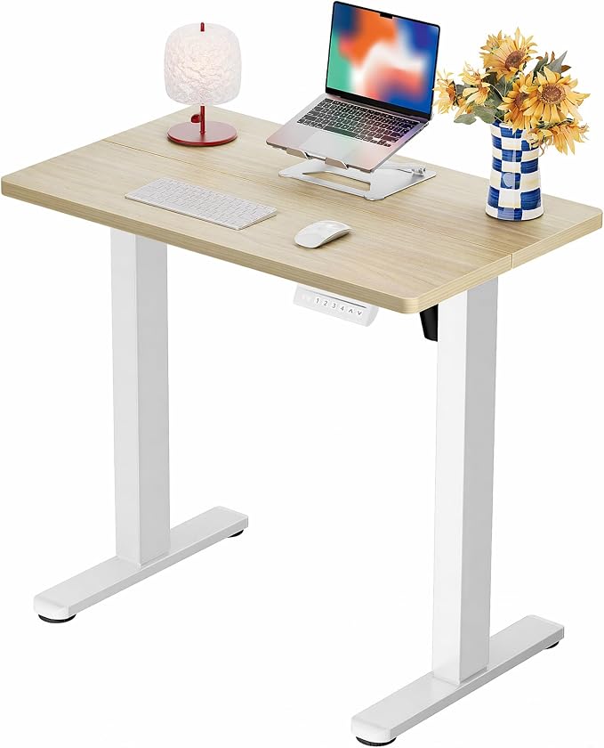 ErGear Height Adjustable Electric Standing Desk, 32 x 19 Inches Sit Stand up Desk, Memory Computer Home Office Desk, Natural by ErGear