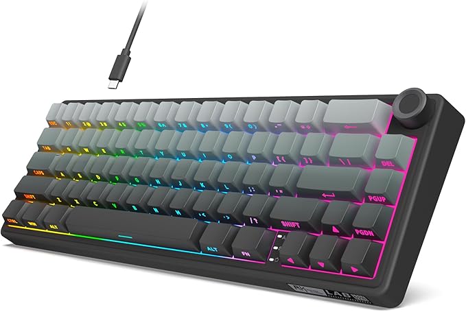 RK ROYAL KLUDGE R65 Wired Gaming Keyboard with Volume Knob, 60% Percent RGB Backlit Mechanical Keyboard, Side Printed PBT Keycaps, QMK/VIA, 66 Keys Hot Swappable Beige Switch, Gradient Black by RKROYALKLUDGE