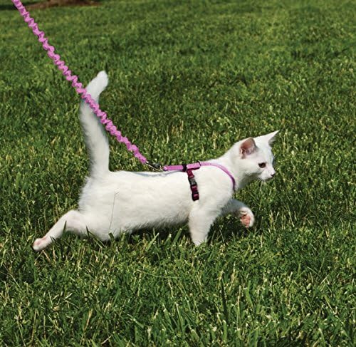 PetSafe Come with Me Kitty Harness and Bungee Cat Leash, Dusty Rose, Small - Image 2