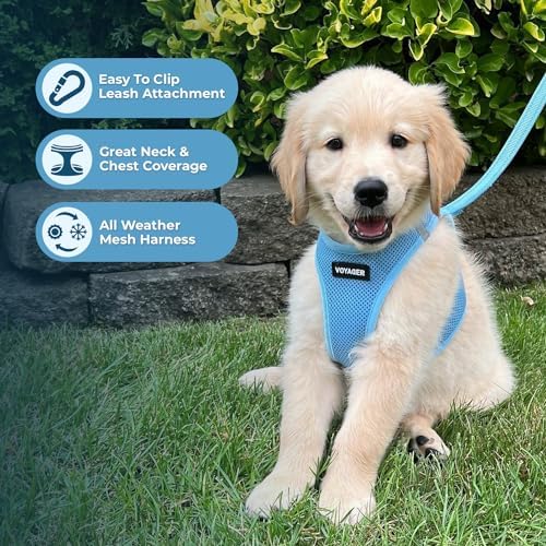 Best Pet Supplies Voyager Step-in Air All Weather Mesh Harness and Reflective Dog 5ft Leash Combo with Neoprene Handle, for Small, Medium and Large Breed Puppies - Baby Blue, XX-Small - Image 5
