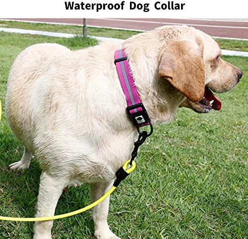 Nimble Reflective Waterproof Dog Collar Adjustable Odor Resistant Easy Clean Pet Collar for Small Medium Large Dogs Night Walking Outdoor Rainy Use (Medium (11.81”-18.5”inches), Rose Purple) - Image 6