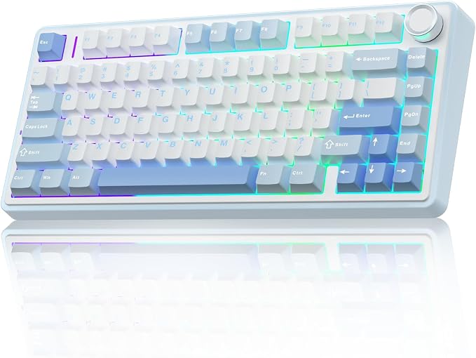 AULA F75 75% Wireless Mechanical Keyboard, Hot Swappable Creamy Keyboard, Pre-lubed Greywood Switches RGB Backlit Gaming Keyboards, 2.4GHz/Type-C/BT5.0(Salt White Blue) by AULA