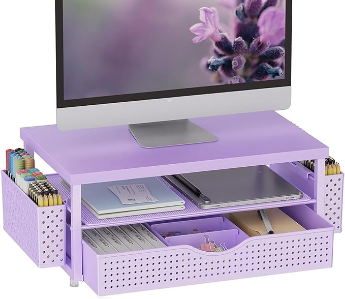 gianotter Desk Organizers and Accessories, Monitor Stand with Drawer and 2 Pen Holder, Desktop Organizer Suitable for Offices and Dormitories (Purple-Plain) by gianotter