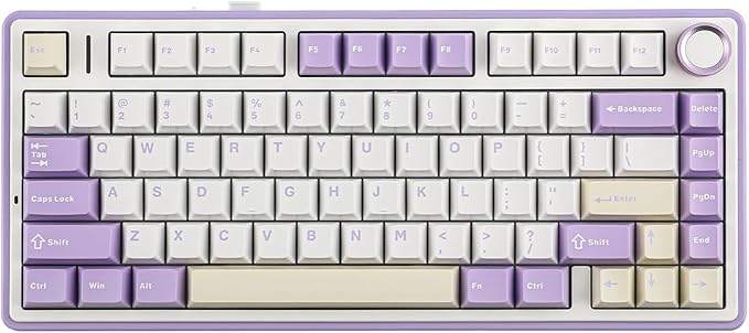 EPOMAKER x Aula F75 Gasket Mechanical Keyboard, 75% Wireless Hot Swappable Gaming Keyboard with Five-Layer Padding&Knob, BT/2.4GHz/USB-C, RGB (Purple, LEOBOG Reaper Switch) by EPOMAKER