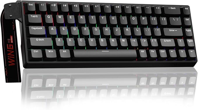 AULA WIN68 HE Mechanical Gaming Keyboard 60%, Hall Effect Magnetic Switch, Fast Trigger Mode Adjustable Actuation, 8000Hz Polling Rate, RGB Backlit, Wired Black Keyboard for Laptop/PC Gamer by AULA