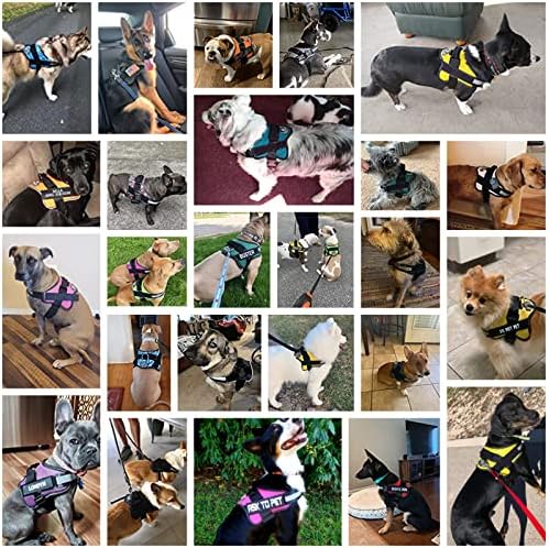 Bolux Dog Harness, No-Pull Reflective Dog Vest, Breathable Adjustable Pet Harness with Handle for Outdoor Walking - No More Pulling, Tugging or Choking (Purple, S) - Image 5