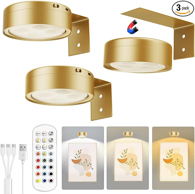 Xuolder Picture Lights for Wall,2000mAh Rechargeable Battery Poster Lights LED Magnetic Painting Light with Remote Control,3 Color Temps&12 RGB Timer Dimmable Wall Light for Art Display Wall Decor by Xuolder