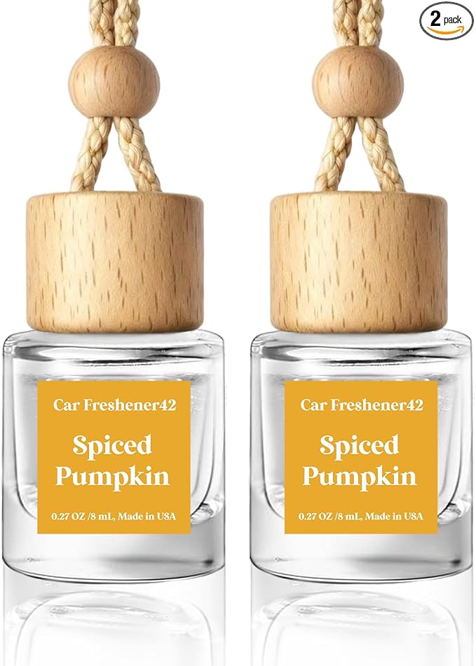 HoogaLife Car Air Freshener Diffuser 2 Pack Hanging Spiced Pumpkin Car Air Freshener for Women 45+ days Long Lasting Fragrance Made in USA (P42) by HoogaLife